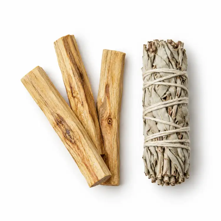 Zestaw Palo Santo 25 g i biała szałwia 10 cm — trzy drewienka i jeden pęczek na białym tle
