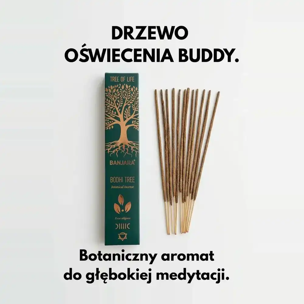 Zielone pudełko kadzidełek Banjara Bodhi Tree obok patyczków, z napisami „Drzewo oświecenia Buddy” i „Botaniczny aromat do głębokiej medytacji”.