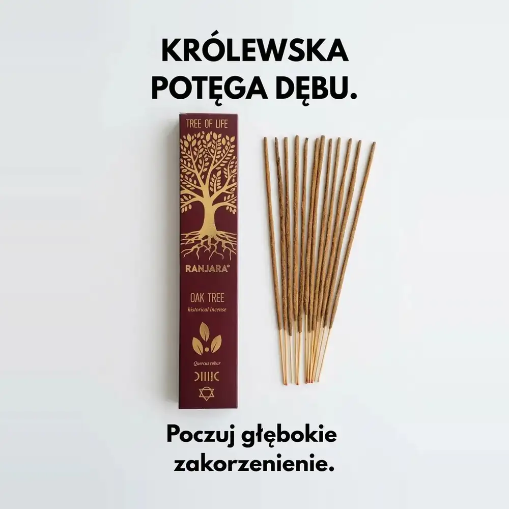 Bordowe pudełko kadzidełek Banjara Oak Tree obok patyczków, z napisami „Królewska potęga dębu” i „Poczuj głębokie zakorzenienie”.