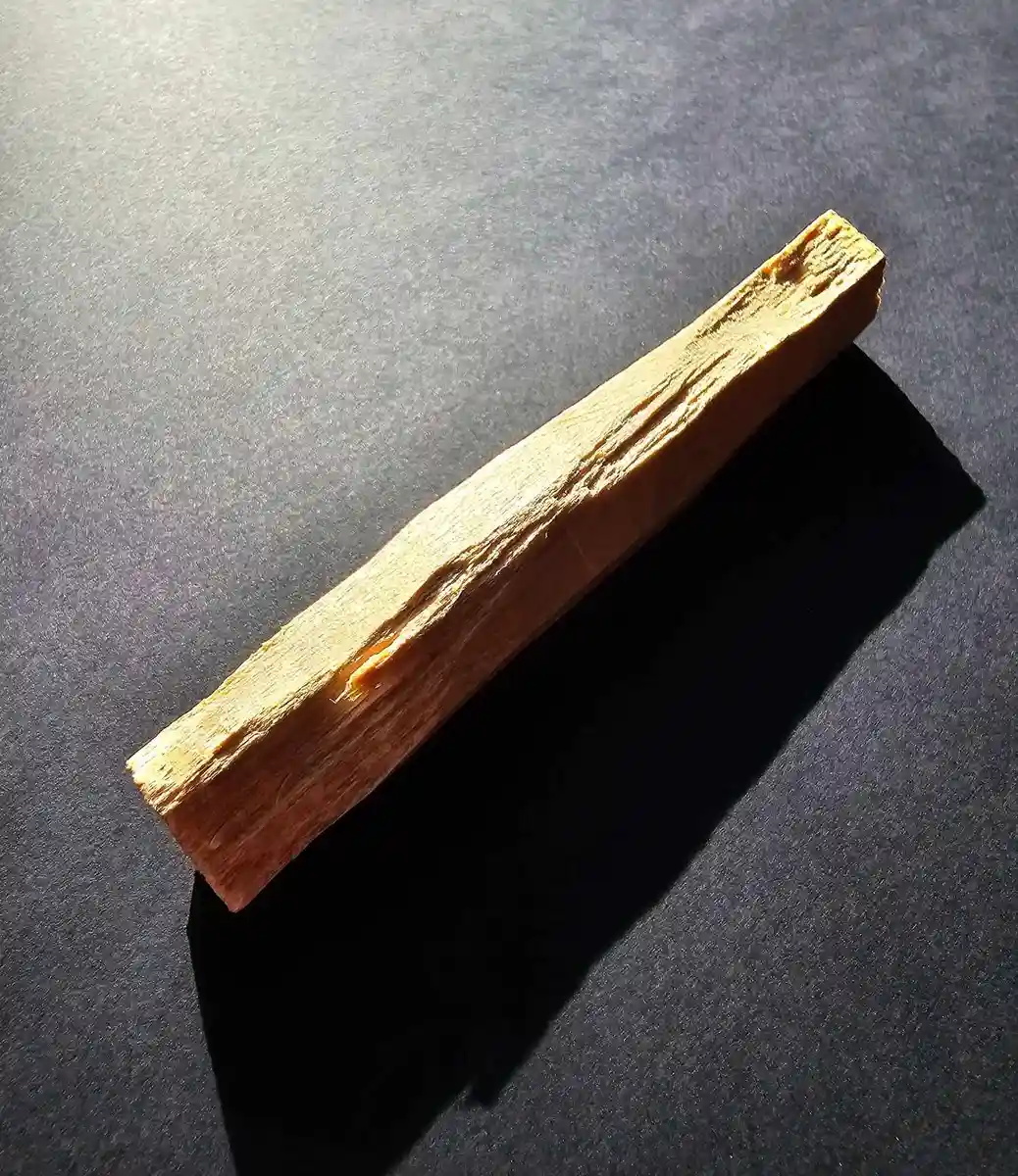 Pojedyncza szczapka naturalnego Palo Santo na ciemnym tle, oświetlona profesjonalnym, punktowym światłem.